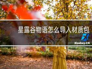 星露谷物语怎么导入材质包