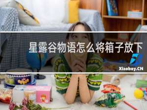 星露谷物语怎么将箱子放下