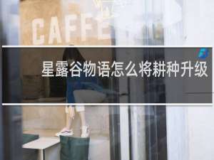 星露谷物语怎么将耕种升级