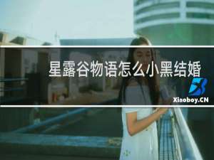 星露谷物语怎么小黑结婚