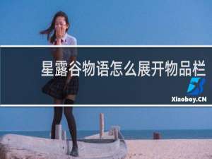 星露谷物语怎么展开物品栏