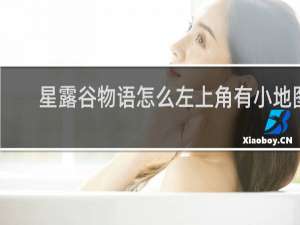 星露谷物语怎么左上角有小地图