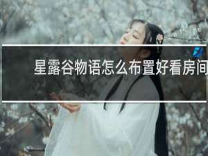 星露谷物语怎么布置好看房间