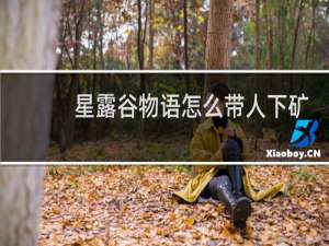 星露谷物语怎么带人下矿