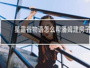 星露谷物语怎么帮潘姆建房子