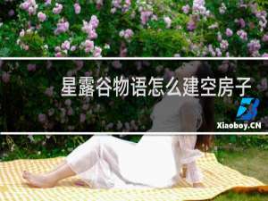 星露谷物语怎么建空房子