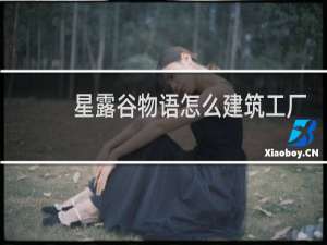 星露谷物语怎么建筑工厂