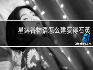 星露谷物语怎么建获得石英
