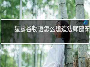 星露谷物语怎么建造法师建筑