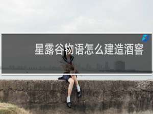 星露谷物语怎么建造酒窖
