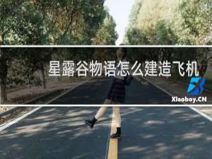 星露谷物语怎么建造飞机