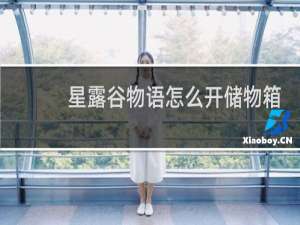 星露谷物语怎么开储物箱