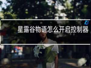 星露谷物语怎么开启控制器