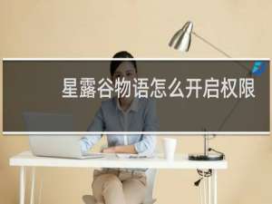 星露谷物语怎么开启权限
