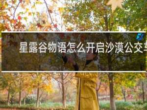 星露谷物语怎么开启沙漠公交车