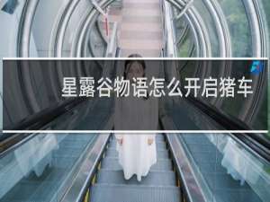 星露谷物语怎么开启猪车