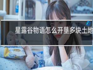 星露谷物语怎么开垦多块土地