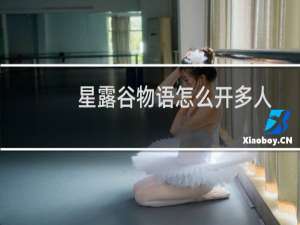 星露谷物语怎么开多人