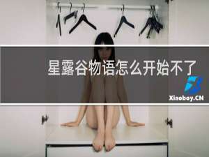 星露谷物语怎么开始不了