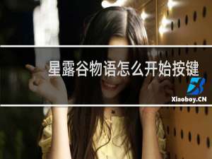 星露谷物语怎么开始按键