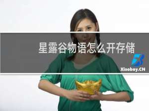 星露谷物语怎么开存储