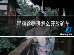 星露谷物语怎么开放矿车