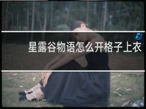 星露谷物语怎么开格子上衣