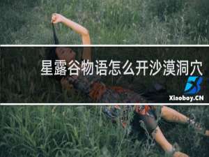 星露谷物语怎么开沙漠洞穴