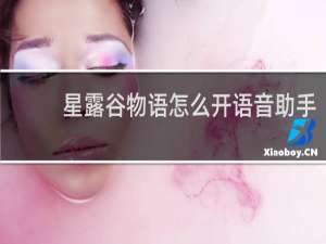 星露谷物语怎么开语音助手