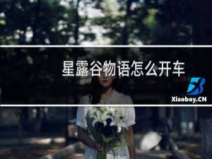 星露谷物语怎么开车