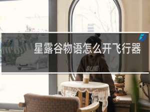 星露谷物语怎么开飞行器
