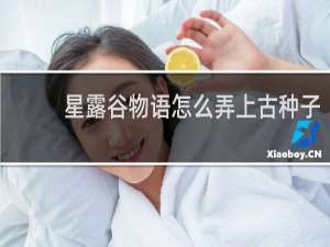 星露谷物语怎么弄上古种子