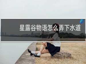 星露谷物语怎么弄下水道