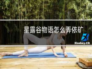 星露谷物语怎么弄依矿