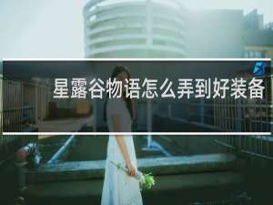 星露谷物语怎么弄到好装备