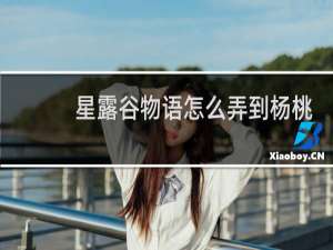 星露谷物语怎么弄到杨桃