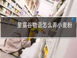 星露谷物语怎么弄小麦粉