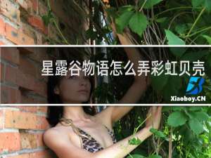 星露谷物语怎么弄彩虹贝壳