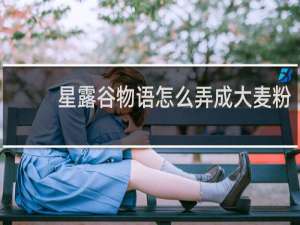 星露谷物语怎么弄成大麦粉