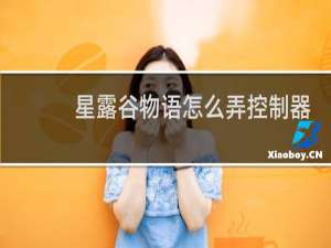 星露谷物语怎么弄控制器