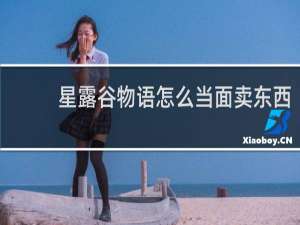 星露谷物语怎么当面卖东西