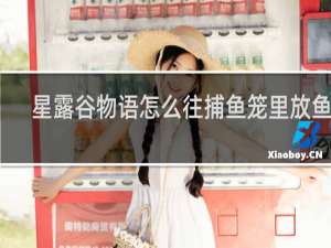 星露谷物语怎么往捕鱼笼里放鱼饵