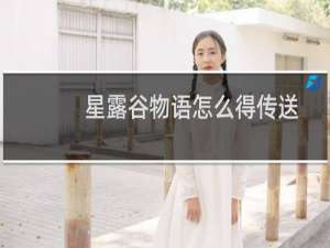 星露谷物语怎么得传送