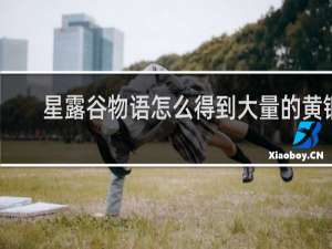 星露谷物语怎么得到大量的黄铜