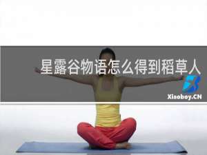 星露谷物语怎么得到稻草人