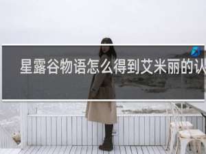 星露谷物语怎么得到艾米丽的认可