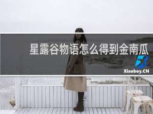 星露谷物语怎么得到金南瓜