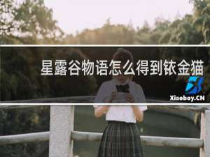 星露谷物语怎么得到铱金猫