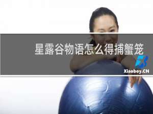 星露谷物语怎么得捕蟹笼