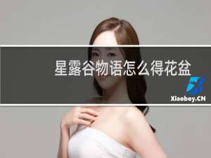 星露谷物语怎么得花盆